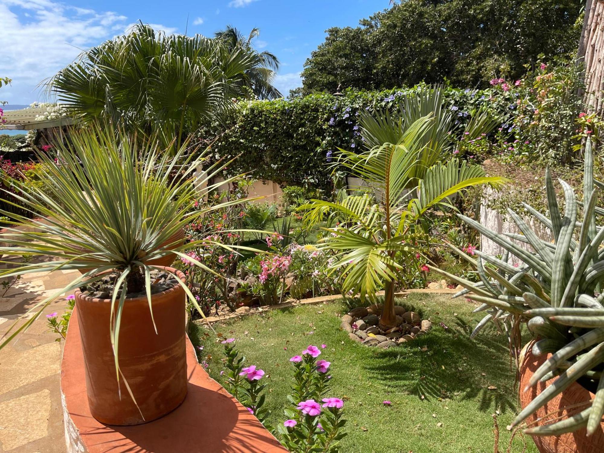 Le Jardin Exotique Hotel Antsiranana Екстериор снимка