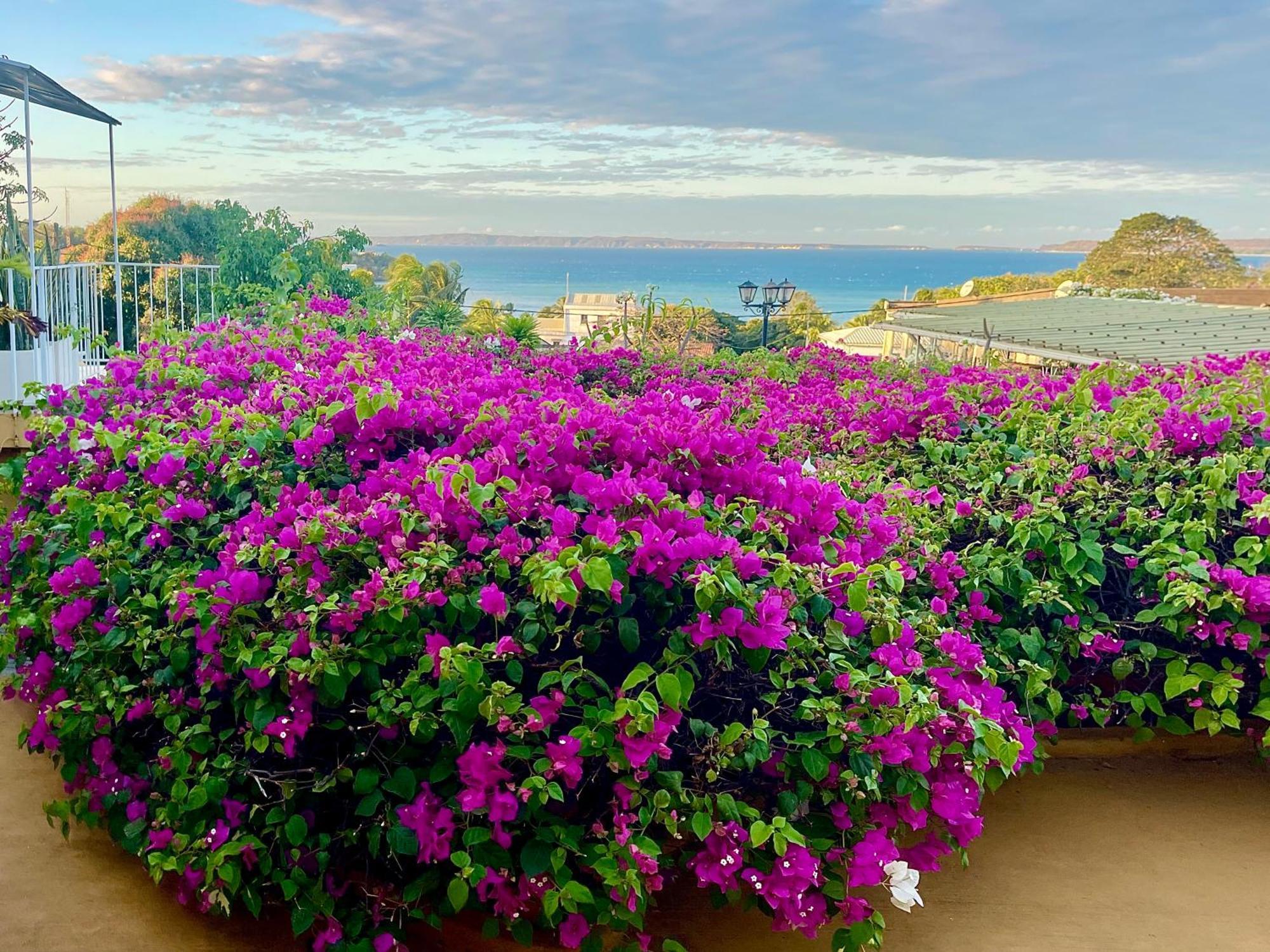 Le Jardin Exotique Hotel Antsiranana Екстериор снимка