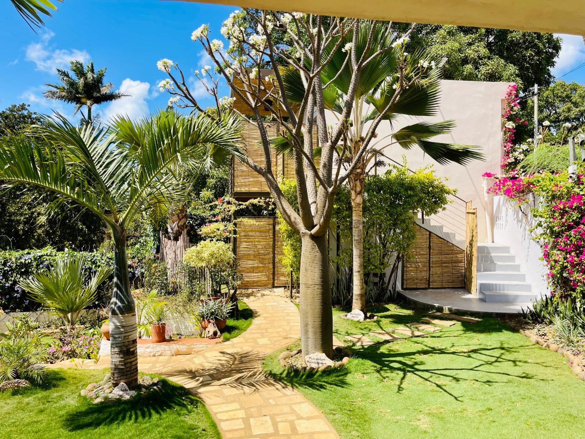 Le Jardin Exotique Hotel Antsiranana Екстериор снимка